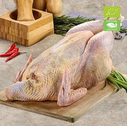 Курица охлажденная ОРГАНИК
