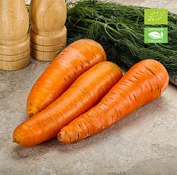 Морковь столовая свежая ОРГАНИК