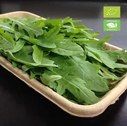 Руккола свежая ОРГАНИК