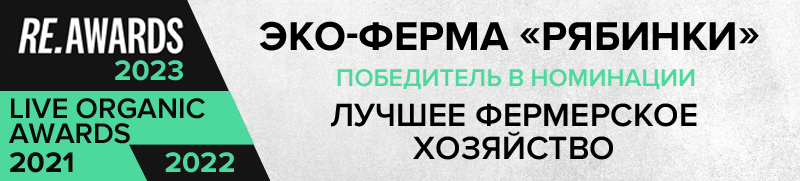 новый.jpg